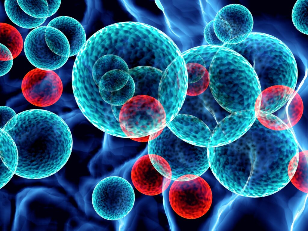 Leucemia2
