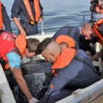 Sul Informação - «Um movimento da sociedade» ajudou Quinas a voltar a nadar no oceano