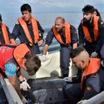 Sul Informação - «Um movimento da sociedade» ajudou Quinas a voltar a nadar no oceano