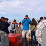 Sul Informação - «Um movimento da sociedade» ajudou Quinas a voltar a nadar no oceano