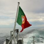 Sul Informação - «Um movimento da sociedade» ajudou Quinas a voltar a nadar no oceano