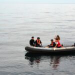 Sul Informação - «Um movimento da sociedade» ajudou Quinas a voltar a nadar no oceano