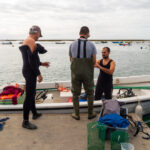 Sul Informação - Santuários e ciência ajudam população de cavalos-marinhos da Ria Formosa a crescer