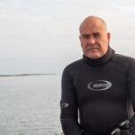 Sul Informação - Santuários e ciência ajudam população de cavalos-marinhos da Ria Formosa a crescer