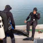 Sul Informação - Santuários e ciência ajudam população de cavalos-marinhos da Ria Formosa a crescer