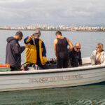 Sul Informação - Santuários e ciência ajudam população de cavalos-marinhos da Ria Formosa a crescer