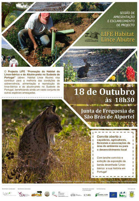 Sul Informação
