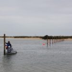 Sul Informação - Trinta anos depois, acabou o cenário dos barcos fundeados no recovo da Culatra