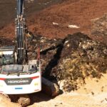 Sul Informação - Limpeza das algas já começou na Praia do Carvoeiro