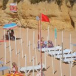 Sul Informação - Limpeza das algas já começou na Praia do Carvoeiro