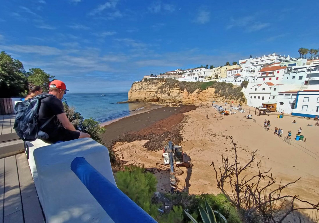 Sul Informação - Limpeza das algas já começou na Praia do Carvoeiro