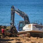Sul Informação - Limpeza das algas já começou na Praia do Carvoeiro