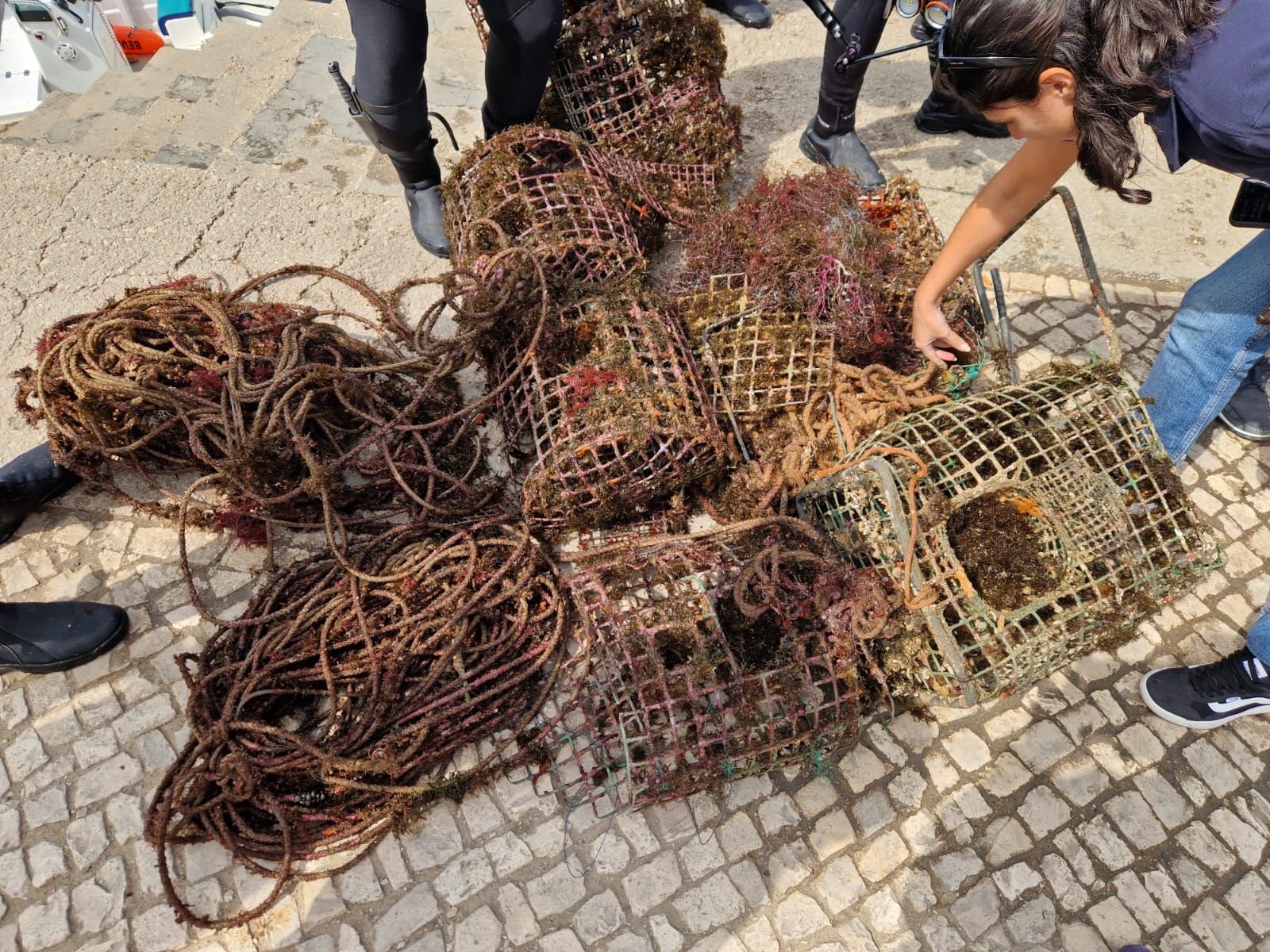 Sul Informação - Mergulhadores limparam lixo subaquático no Parque Natural Marinho da Pedra do Valado
