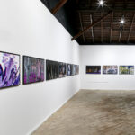 Sul Informação - Tem mais 3 dias para ver a exposição de Edgar Pêra na Galeria Trem de Faro