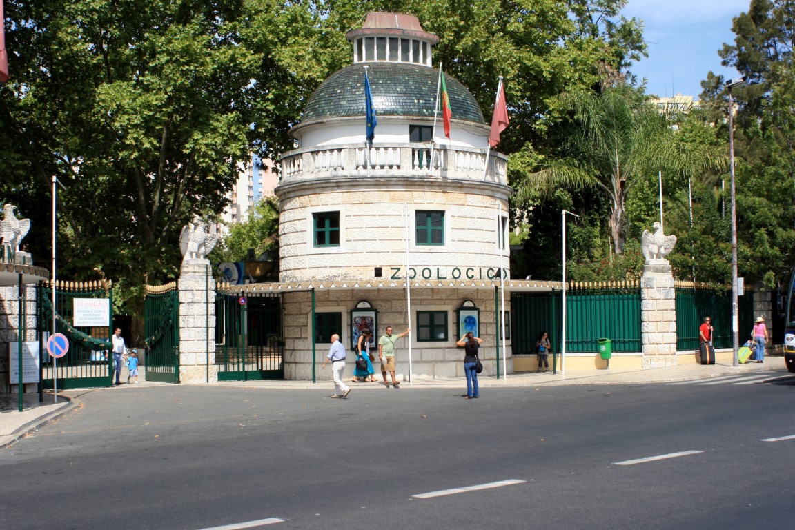Sul Informação - Alunos de São Brás de Alportel fazem visitas virtuais ao Jardim Zoológico