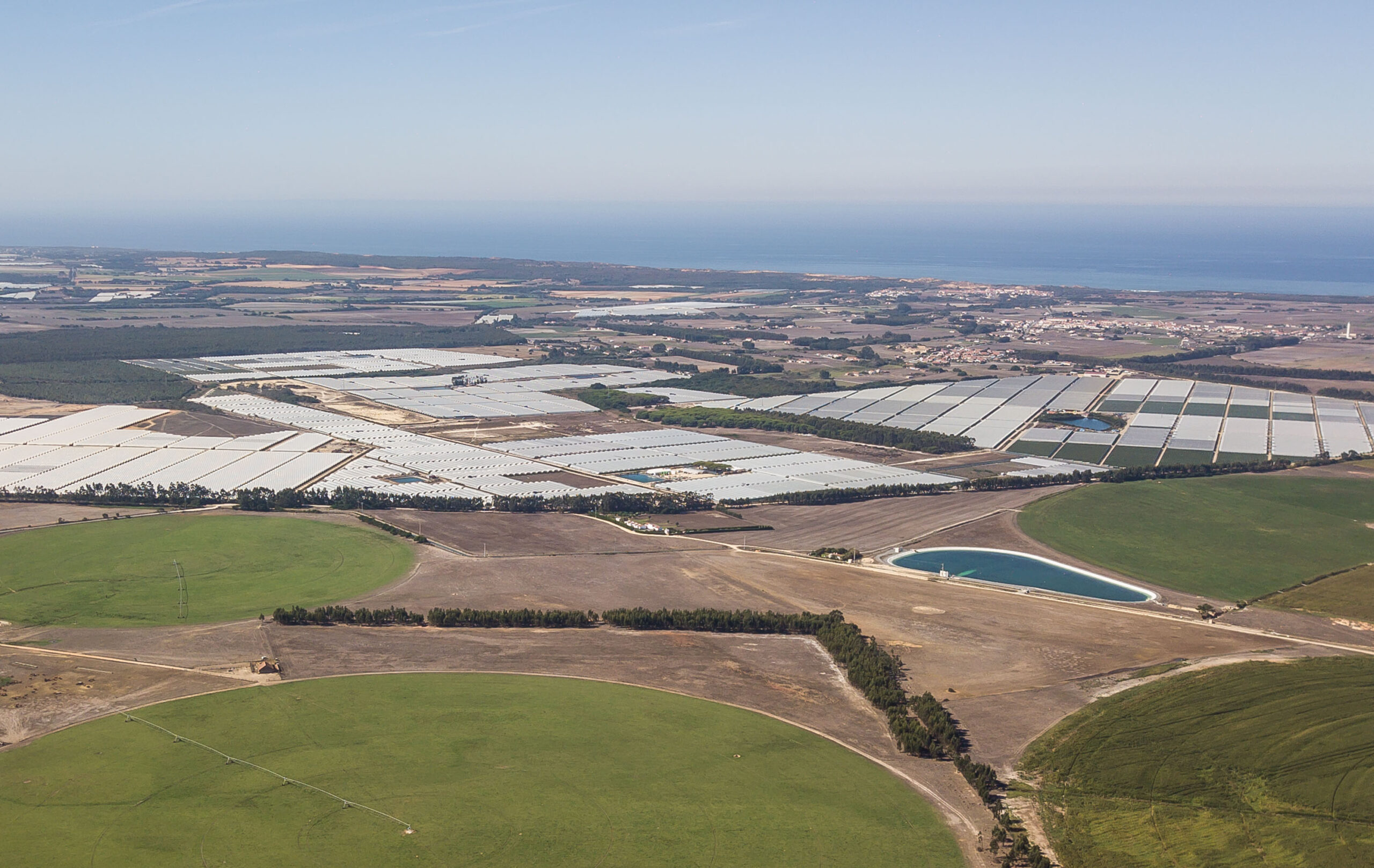 Sul Informação - Partido Ecologista Os Verdes nos distritos de Évora, Beja e Faro