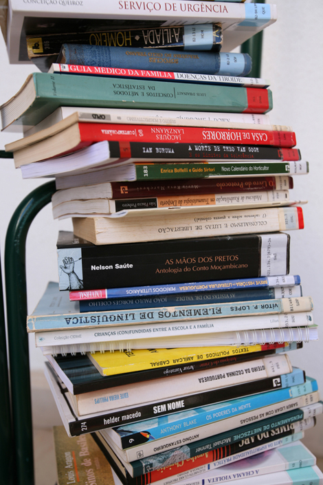 Sul Informação - Lagos tem novo Mercado do Livro e das Coleções