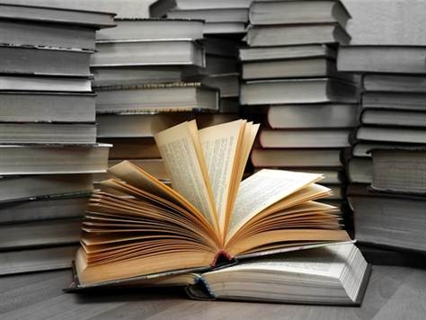 Sul Informação - Feira do Livro volta ao Jardim Manuel Bívar de Faro a partir de amanhã