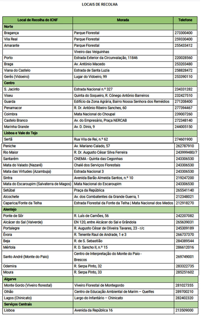 Sul Informação