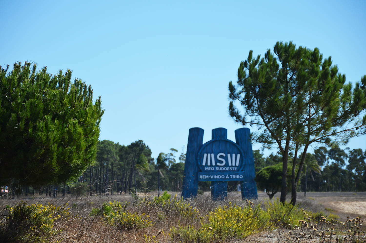 Sul Informação - Organização e Município dizem que Festival Sudoeste não está em risco por causa do incêndio