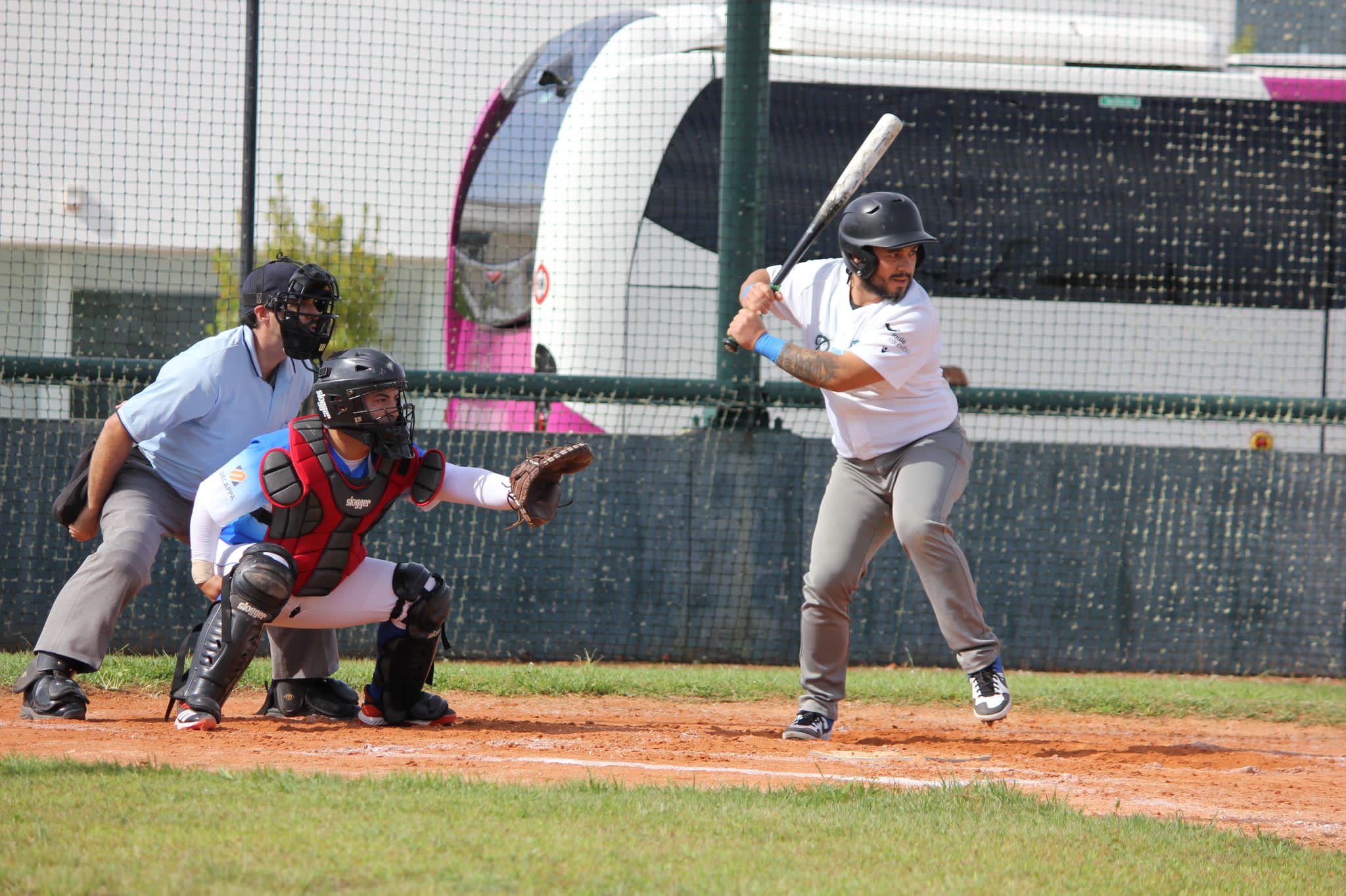 Sul Informação - Loulé Ravens apura-se para a final do Circuito Nacional Basebol