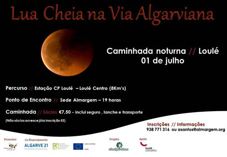 Sul Informação