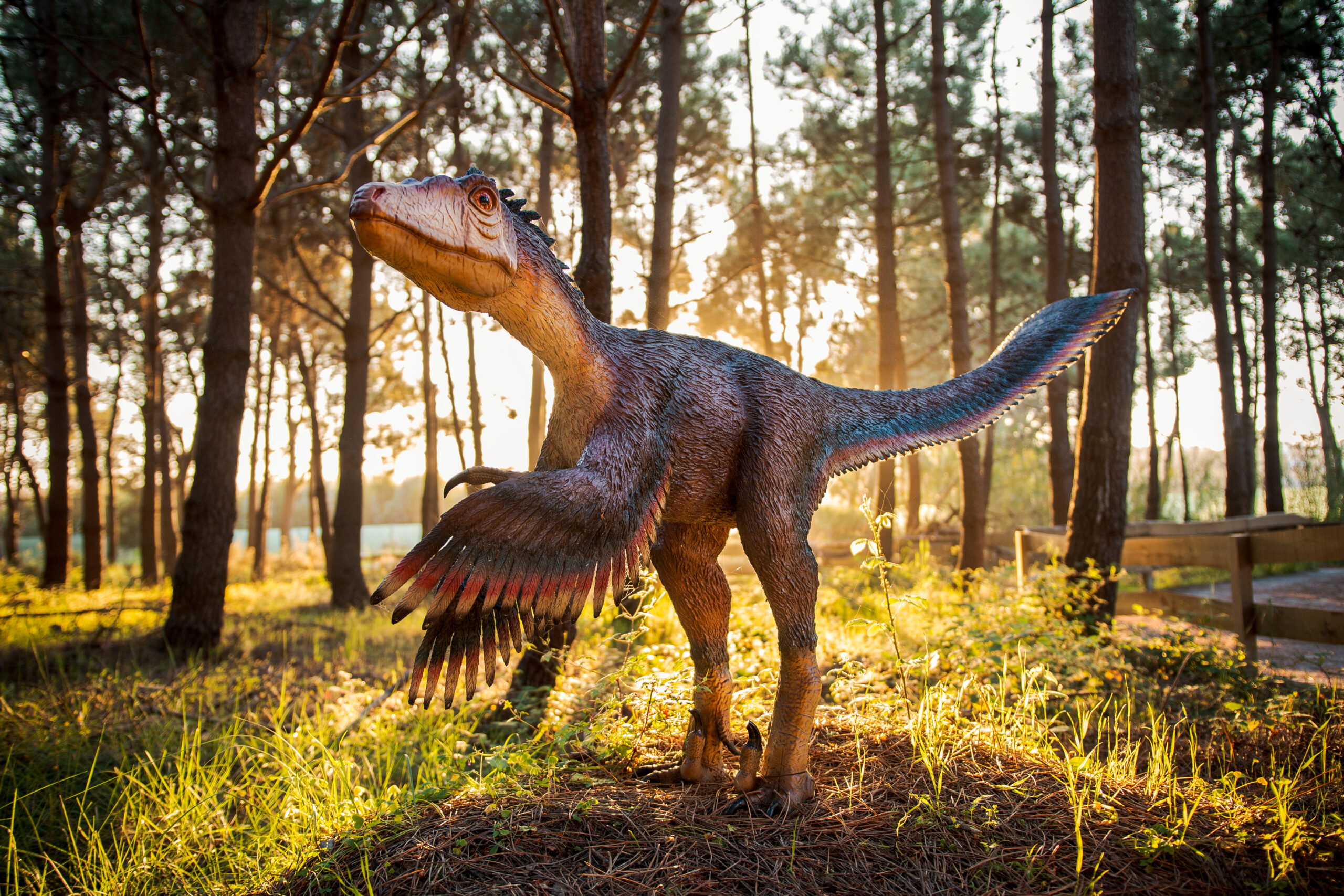 Sul Informação - Dinossauros invadem Albufeira para «deslumbrar miúdos e graúdos»