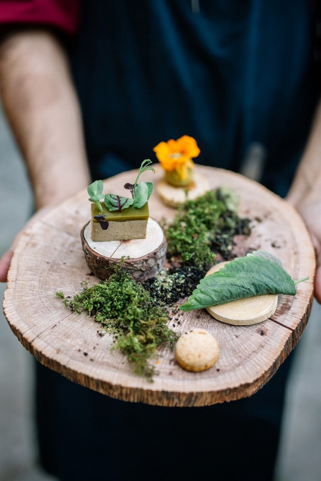 Sul Informação - Gastronomia e floresta aliam-se em “Momentum” do Festival de Comida Esquecida