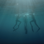 Sul Informação - “Scianema – Mostra o Oceano” regressa a Faro para a 7ª edição