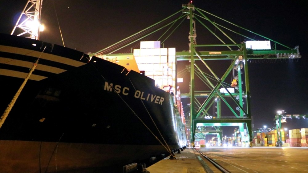 MSC_Oliver (Custom)