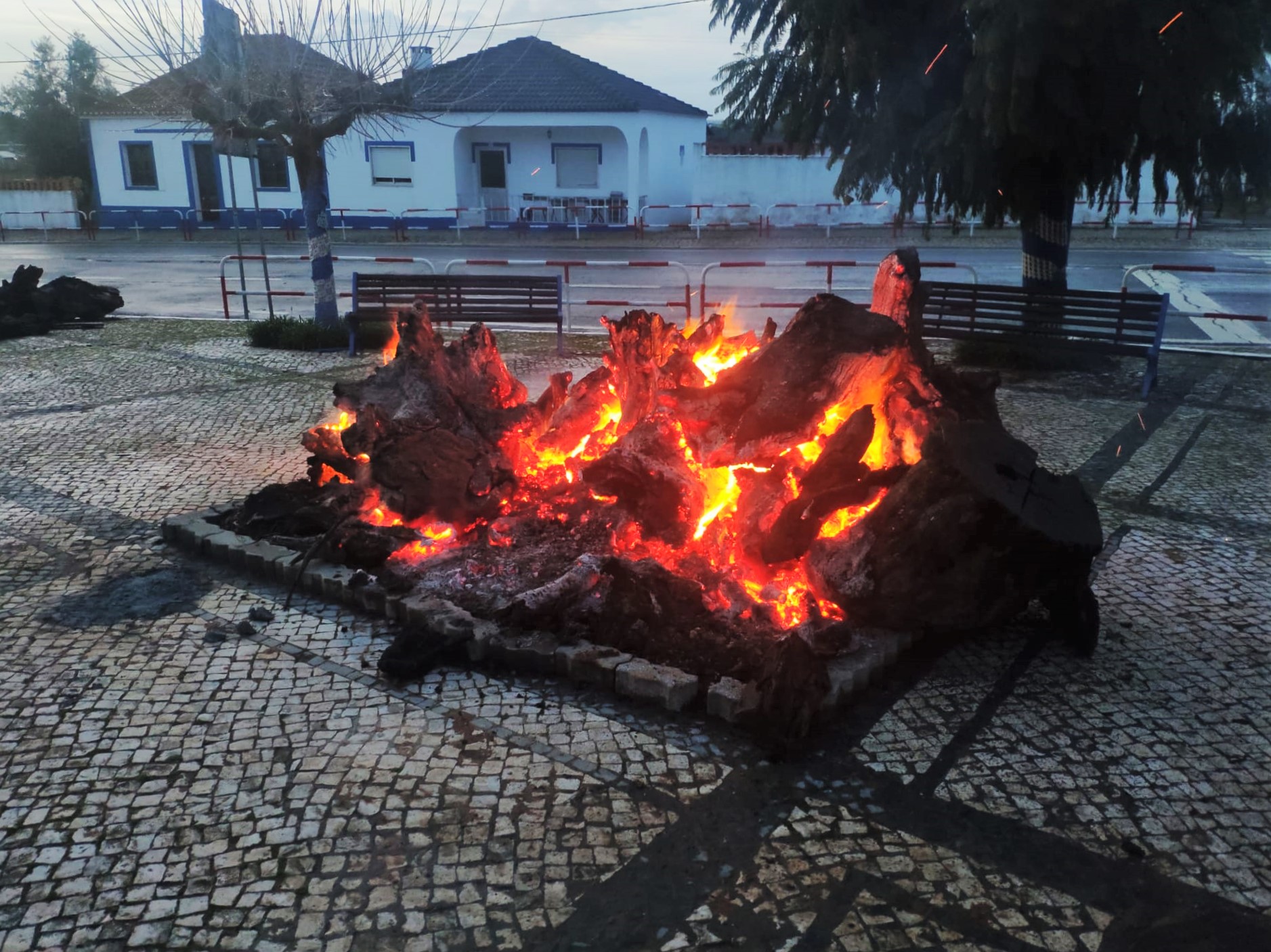 Sul Informação - Alcácer do Sal: Madeiro de Natal volta a aquecer a aldeia de Santa Ana [com fotos]