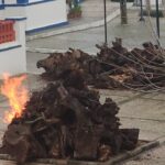 Sul Informação - Alcácer do Sal: Madeiro de Natal volta a aquecer a aldeia de Santa Ana [com fotos]