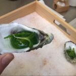 Sul Informação - Ostras da Culatra e robalos de Alvor são produtos em destaque na Feira de Hotelaria e Restauração Makro