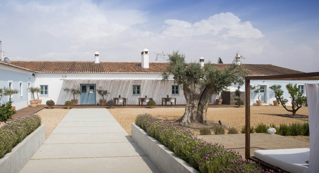 Sul Informação - Projetos da Sustentabilidade dos Vinhos do Alentejo e da Malhadinha Nova premiados no Porto