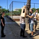 Sul Informação - Fotogaleria: Manga e Comic Event trouxe heróis e vilões a Faro