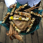 Sul Informação - Mar Adentro agita águas em nome da sustentabilidade, desta vez a bordo de barco de pesca de arrasto
