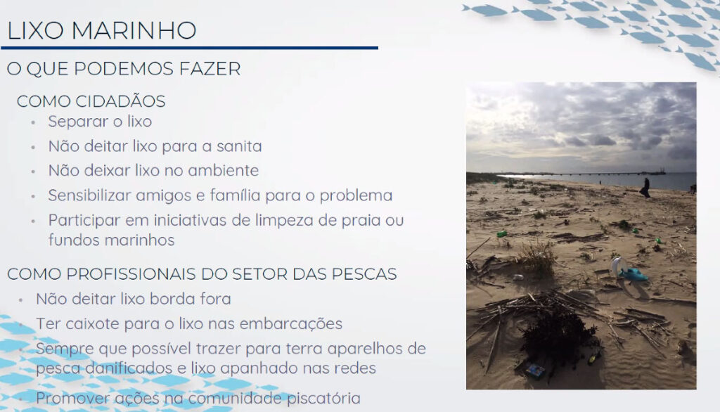 Sul Informação