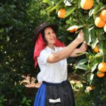 Sul Informação - Marafada lança a primeira cerveja artesanal de Laranja de Silves