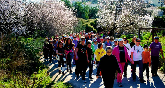 Sul Informação - Pechão volta a acolher Marcha Corrida «Amendoeiras em Flor»