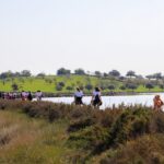 Sul Informação - Marcha/corrida em Castro Marim encerra projeto de prevenção do cancro