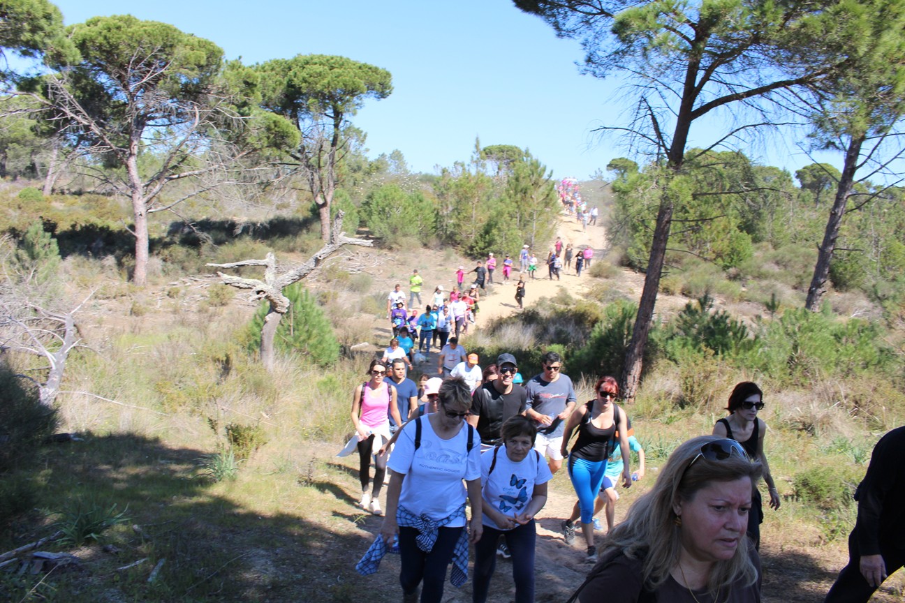 Sul Informação - Marcha Corrida da Ria Formosa de Faro teve adesão recorde