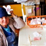 Sul Informação - Amendoeiras e gente de bem atraem milhares de pessoas a Alta Mora