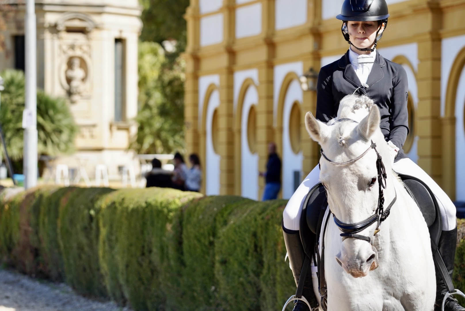 Sul Informação - Jovens cavaleiras algarvias Maria Inês Almeida e Mariana André destacam-se em Jerez de la Frontera