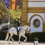 Sul Informação - Jovens cavaleiras algarvias Maria Inês Almeida e Mariana André destacam-se em Jerez de la Frontera