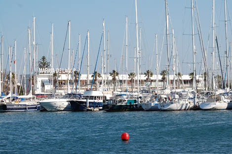 Sul Informação - SEF prende estrangeiro procurado na Marina de Lagos