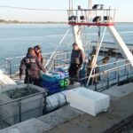 Sul Informação - Embarcação espanhola apanhada a pescar ilegalmente no Algarve