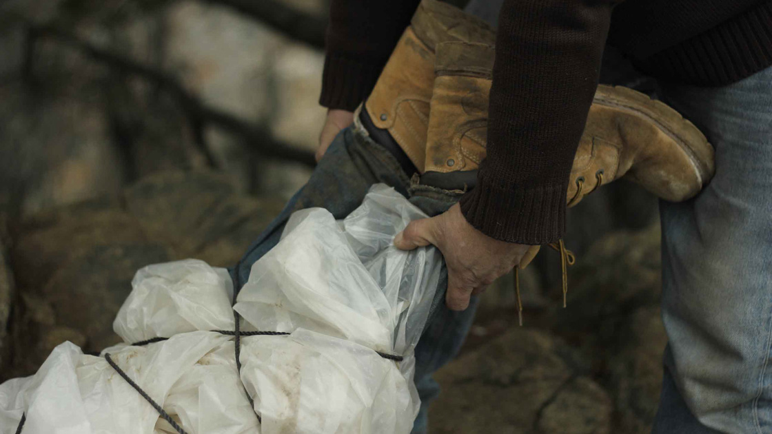 Sul Informação - Indie Lisboa mostra filmes premiados no Teatro das Figuras em Faro