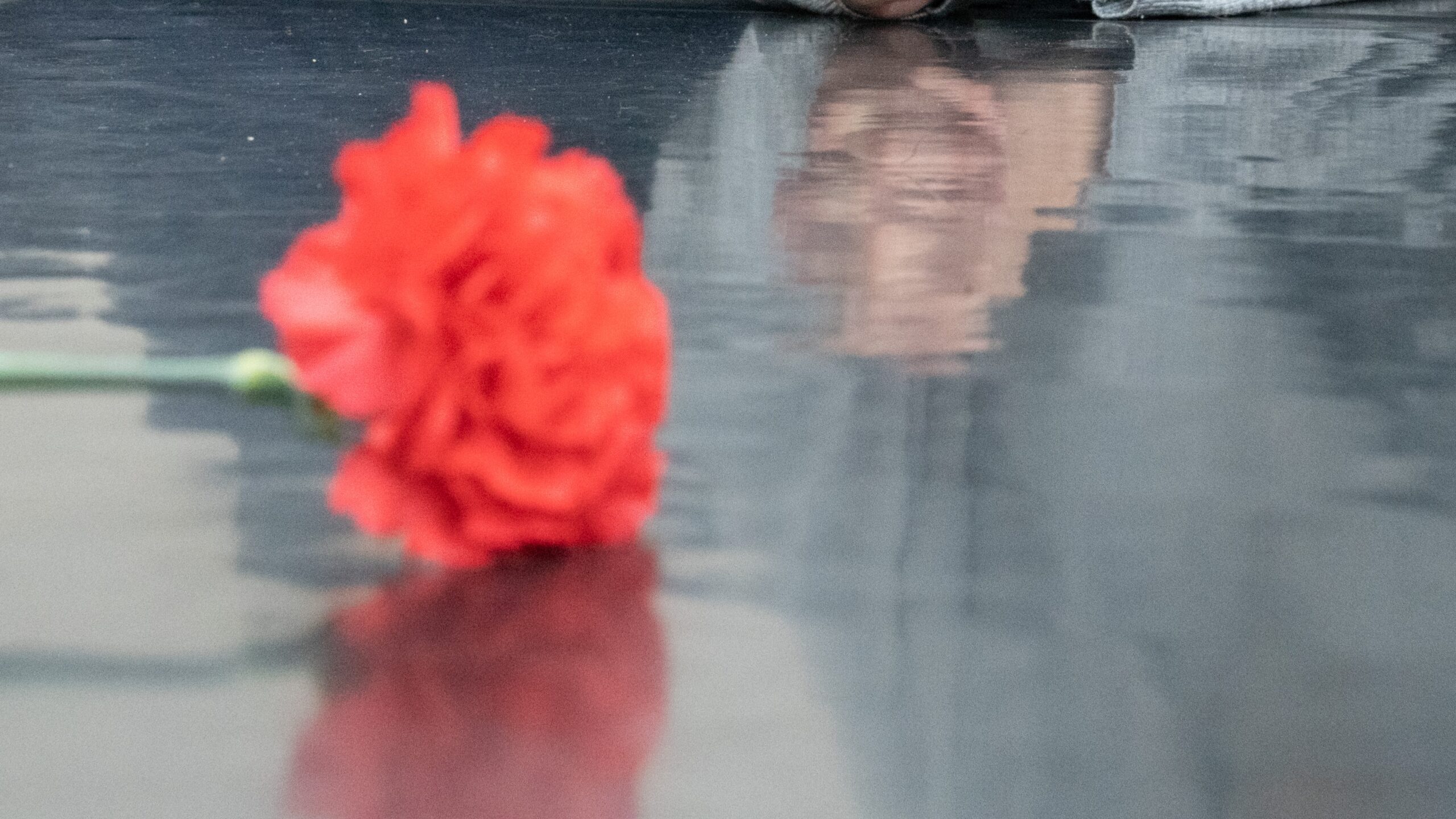 Sul Informação - Portimão recebe espetáculo de dança que «realça o inestimável valor da democracia»