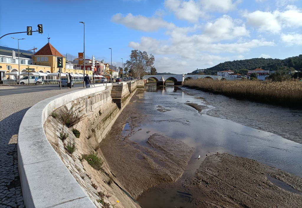 Sul Informação - Mercado Municipal de Silves reabriu com música e alegria
