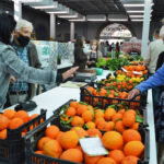 Sul Informação - Mercado Municipal de Silves reabriu com música e alegria